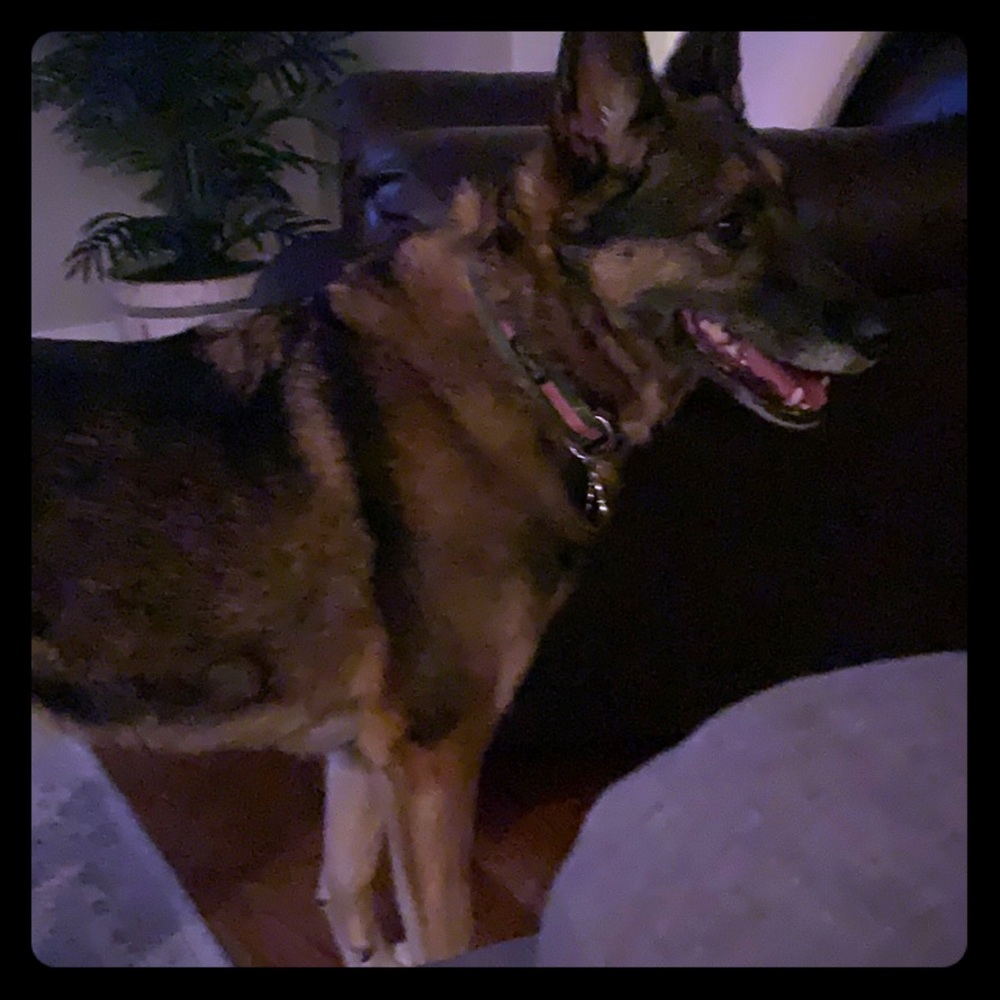 Meet your posher Aubrey